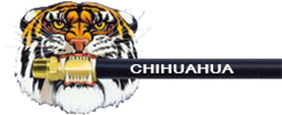 Parker Store Tiger Logo